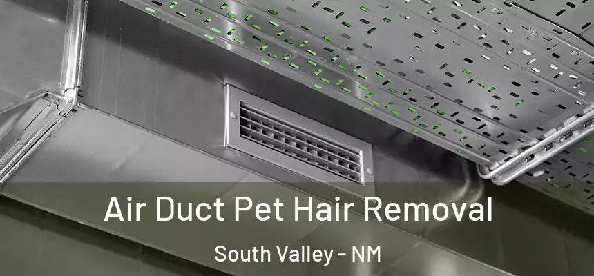  Air Duct Pet Hair Removal South Valley - NM