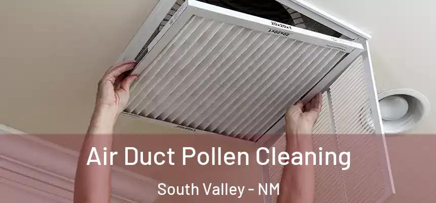 Air Duct Pollen Cleaning South Valley - NM