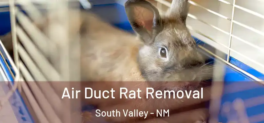 Air Duct Rat Removal South Valley - NM