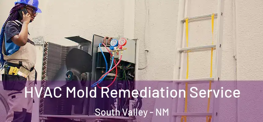 HVAC Mold Remediation Service South Valley - NM