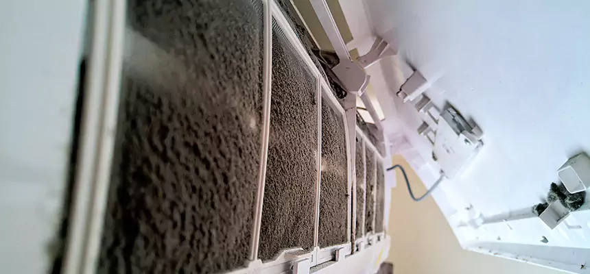 Preventive Air Duct Bacteria Removal in South Valley