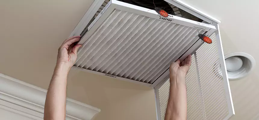 Preventive Cockroach-Proofing for Ducts in South Valley