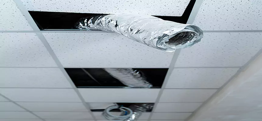 Our Air Duct Pet Hair Removal Services in South Valley, NM