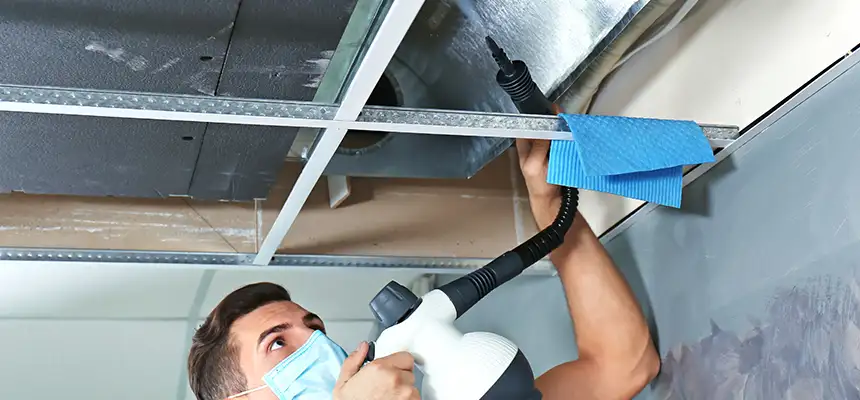 Our Air Duct Rodent Removal Services in South Valley, NM