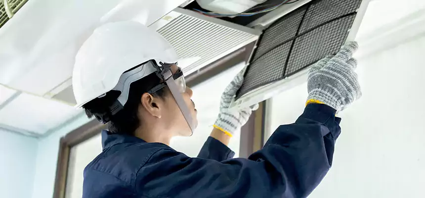 Our Mold & Mildew Removal from Air Ducts Services in South Valley, NM