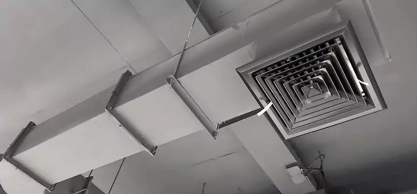 Our Pest Removal From Ducts Services in South Valley, NM