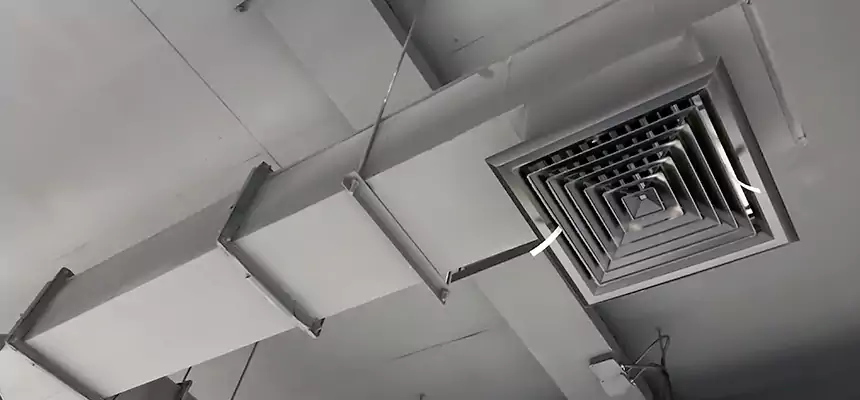 Our Rodent Droppings In Vents Services in South Valley, NM