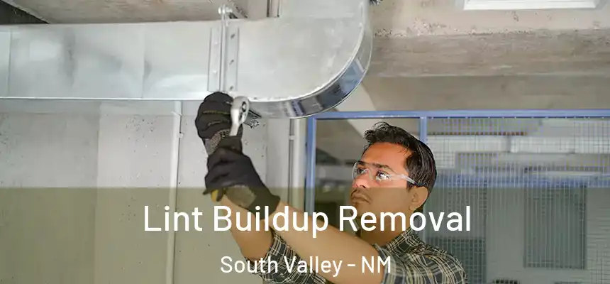  Lint Buildup Removal South Valley - NM
