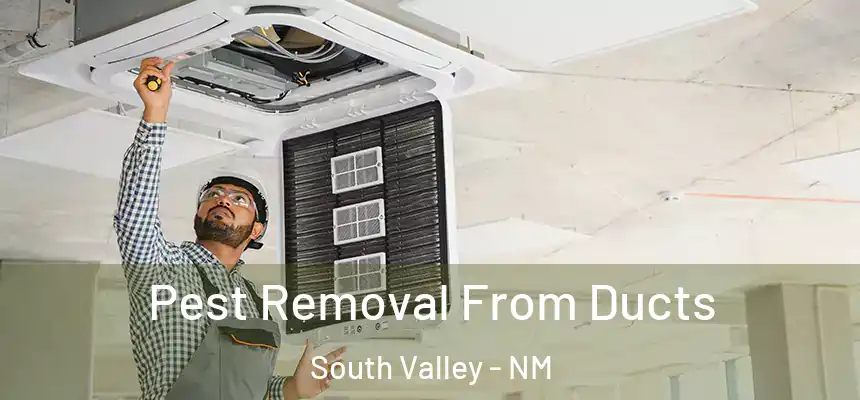  Pest Removal From Ducts South Valley - NM