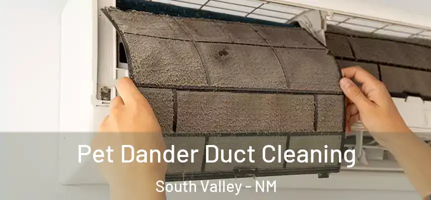 Pet Dander Duct Cleaning South Valley - NM