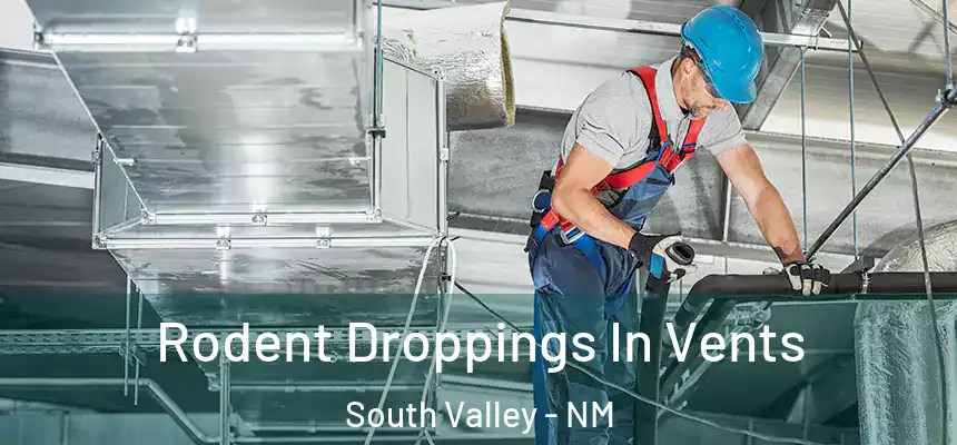 Rodent Droppings In Vents South Valley - NM