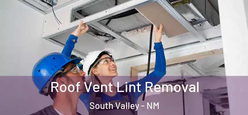 Roof Vent Lint Removal South Valley - NM