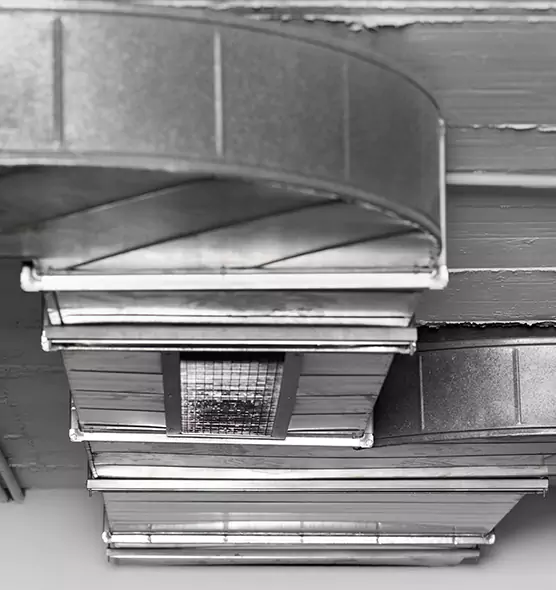 Professional Air Duct Pet Hair Removal in South Valley, NM