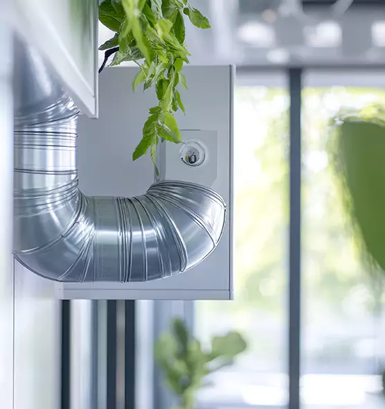 Professional Eco-Safe Dryer Vent Cleaning in South Valley, NM