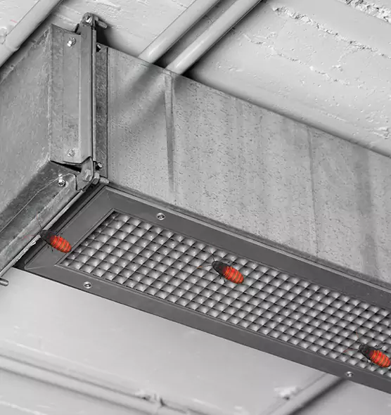 Affordable Insect Removal from Air Ducts in South Valley, NM