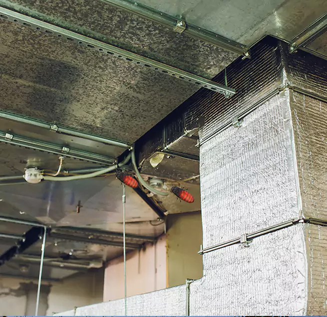 Why Homeowners & Businesses Trust Us in South Valley, NM?