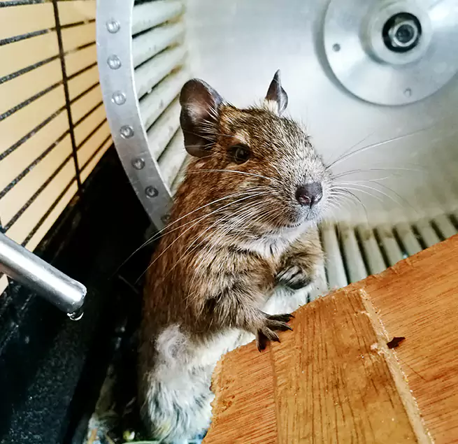 Why Homeowners & Businesses Trust Us South Valley, NM