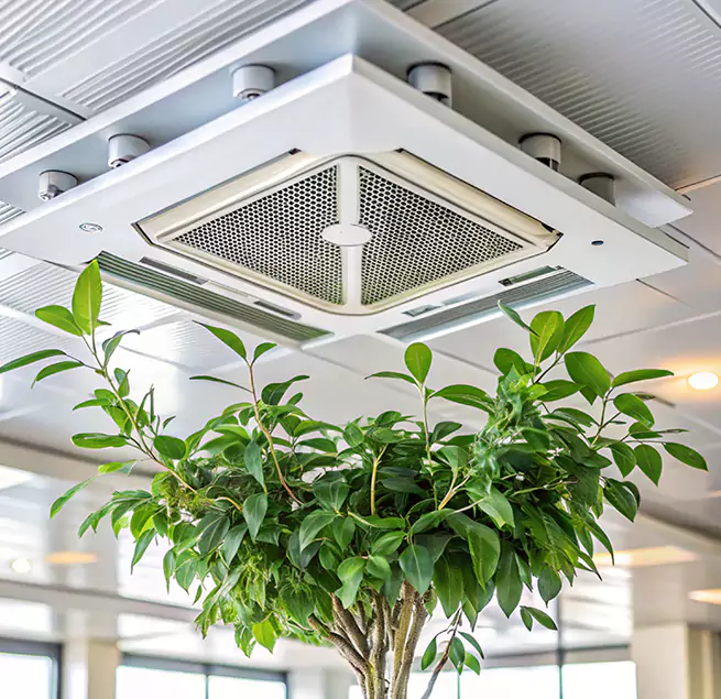 Why Homeowners & Businesses Trust Us in South Valley, NM?